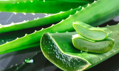 Evde Aloe Vera Jeli Nasıl Yapılır?