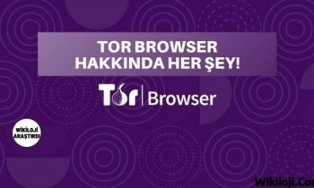 Tor Browser Nasıl Kullanılır?