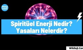 Spiritüel Enerji Nedir ? Yasaları Nelerdir ?